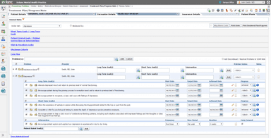 InSync EHR Treatment Plan