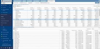 Interactant Trial balance