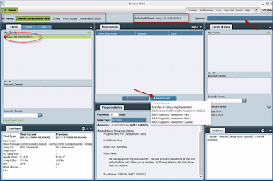 Netsmart Console example