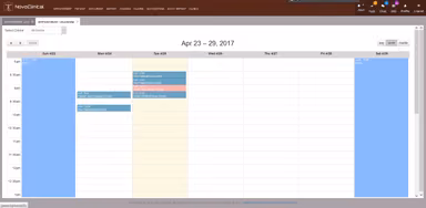 NovoClinical Appointment calendar view