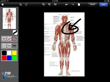 OneTouch Touch screen