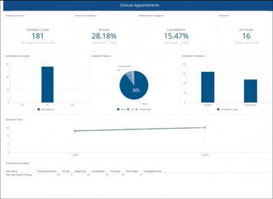 Optima Therapy Appointment dashboard