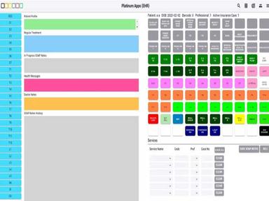 Platinum System Software