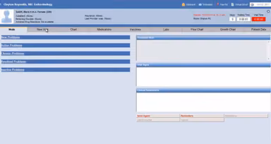 Praxis EMR Main Patient Window