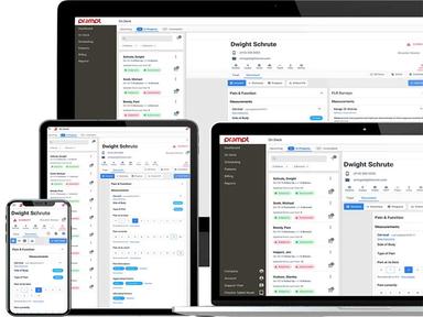 Prompt Overview