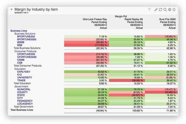 Sage Intacct Reporting