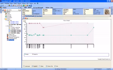 Sequel Systems Patient flow sheet