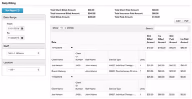 TheraNest Billing Report