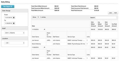 TheraNest Billing Report