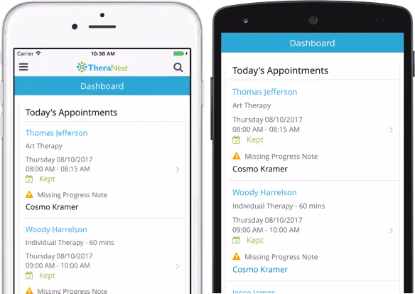 TheraNest Mental Health Software Dashbaord