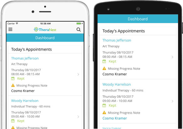TheraNest Mental Health Software Dashbaord