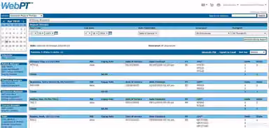 WebPT Billing Report
