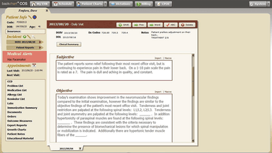 BackChart EHR Patient chart