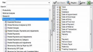 Clinicient Insight EMR Generate reports