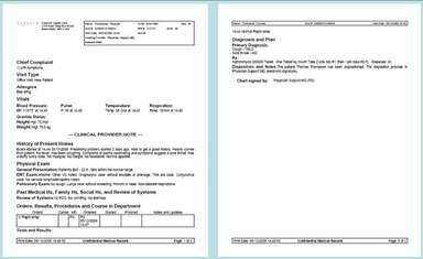 CodoniXnotes Software Narrative Report