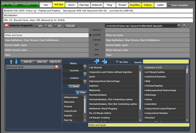IntelleChart EHR Anterior segment