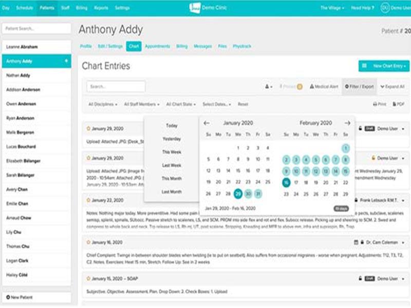Jane App Chart Enteries