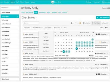 Jane App Chart Enteries