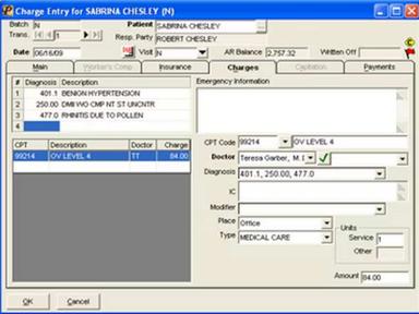 Mountainside Software - Charge Entry