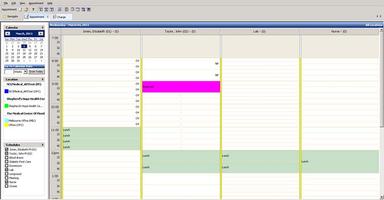 Perfect Care Scheduling