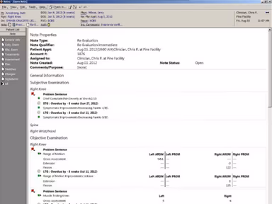 Therapy Source EMR Note Properties