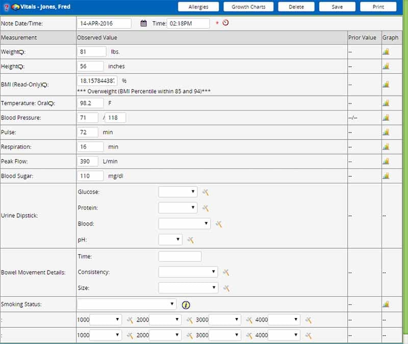 Welligent Behavioral EHR Software