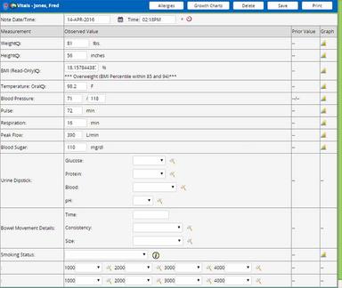 Welligent EHR Behavioral EHR Software
