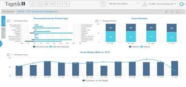 CCH Tagetik CFO Dashboard