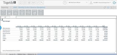 CCH Tagetik Budget Summary