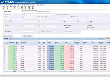 JD Edwards Software Customer Ledger