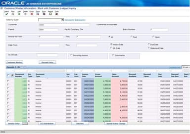 JD Edwards Software Supplier Ledger