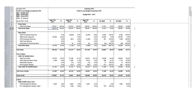 Budgyt Profit/Loss budget