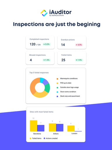 iAuditor Analytics