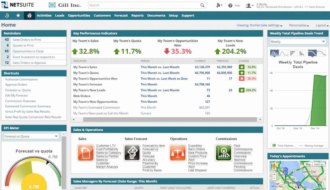 NetSuite Performance Indicators