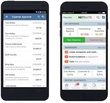 NetSuite Expenses