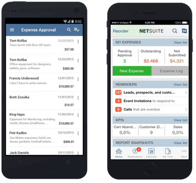 NetSuite Expenses