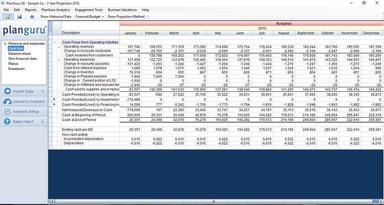 Budget management