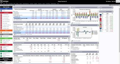 Xledger Cash flow