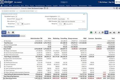 Xledger Profit and loss detailed