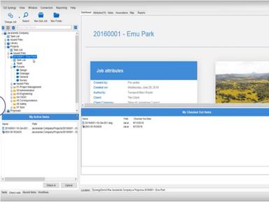 12d Synergy Dashboard