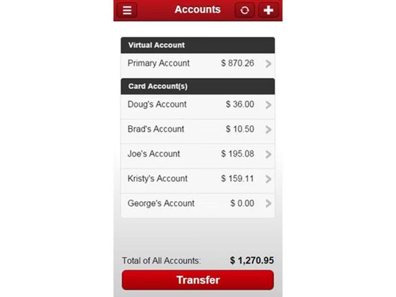 Payzerware Software Accounts