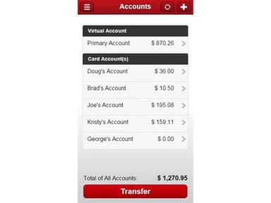 Payzerware Software Accounts