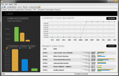 Foundation Software Cash Accounts