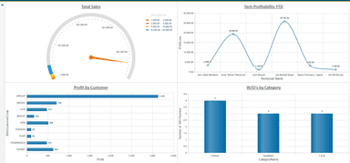 Jonas Enterprise Total Sales Cost