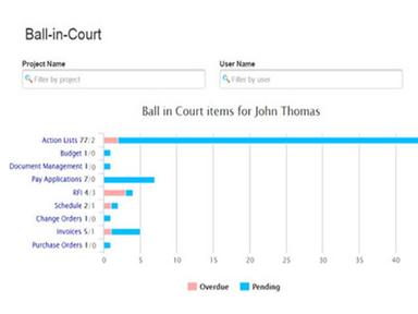 Projectmates Software Ball In Court