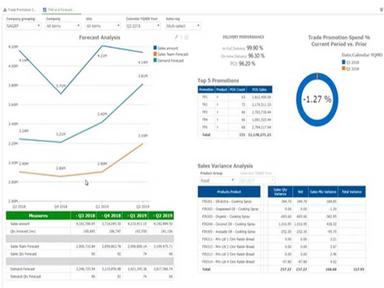 Sage X3 Software Graph Report