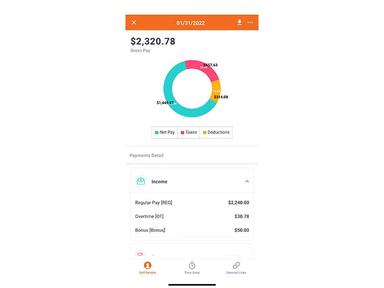 Criterion HCM Paycheck view on mobile app