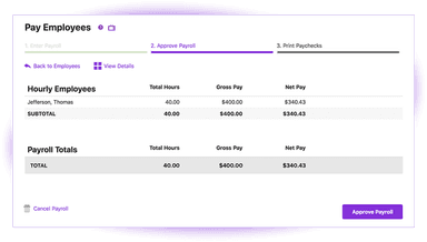 Patriot Payroll Pay Employee