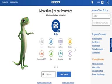 GEICO Products view