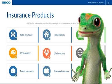 Geico Insurance Products